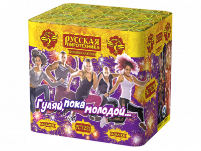 Гуляй, пока молодой Салют купить в Тотьме | totma.salutsklad.ru