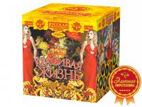 Красивая жизнь Фейерверк купить в Тотьме | totma.salutsklad.ru