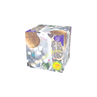 Новогодняя ночь Салют купить в Тотьме | totma.salutsklad.ru