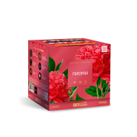Пионы Салют купить в Тотьме | totma.salutsklad.ru