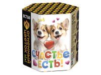 Счастье есть! Салют купить в Тотьме | totma.salutsklad.ru