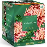 Хризантемы Фейерверк купить в Тотьме | totma.salutsklad.ru