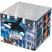 Косатка Фейерверк купить в Тотьме | totma.salutsklad.ru